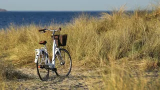 Bicycle with basket in the dunes