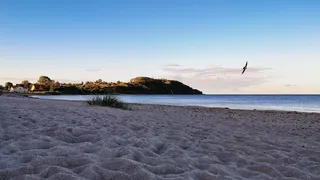 View of Vilm Island
